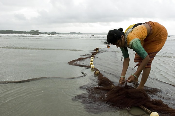 Incredible india #10578423