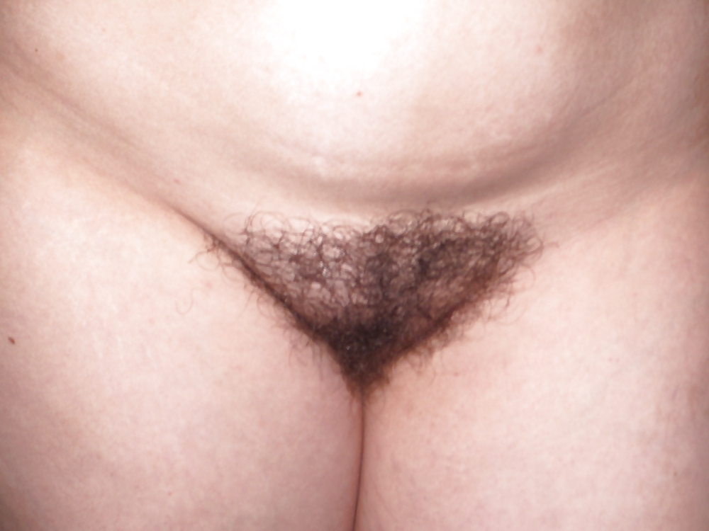 French chubby  #4391539