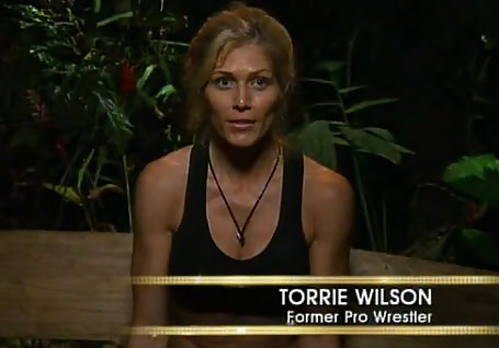 Torrie Wilson - Wwe Diva Mega Collection #10635444