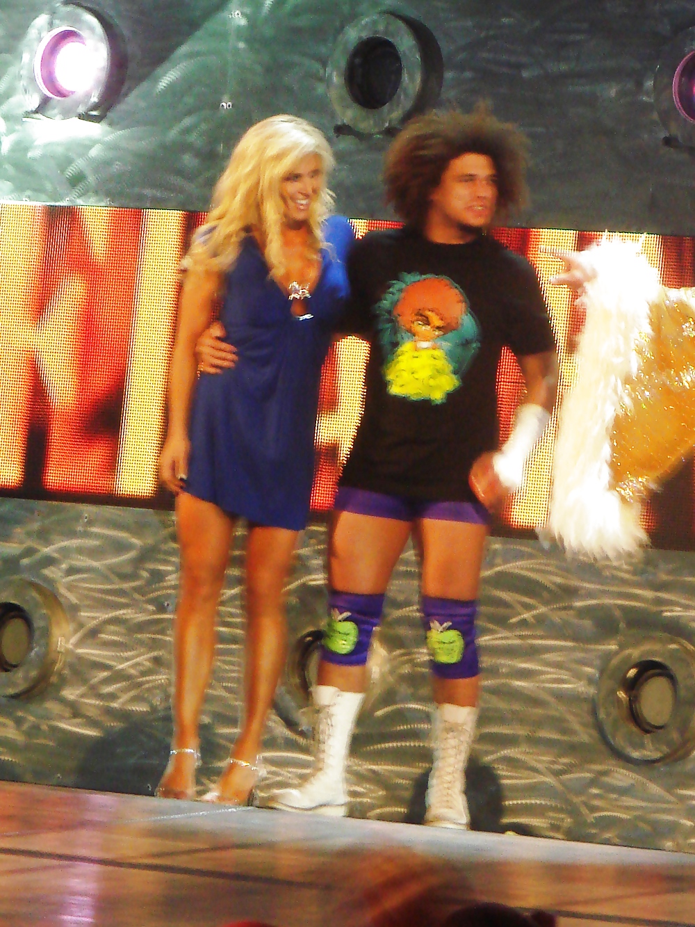 Torrie wilson - wwe diva mega collezione 
 #10635623