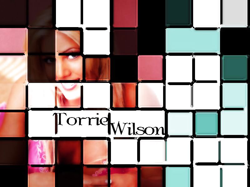 Torrie wilson - wwe diva mega collezione 
 #10635702