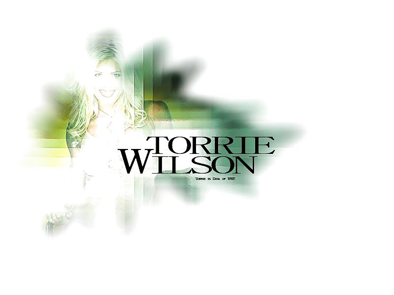 Torrie wilson - wwe diva mega collezione 
 #10635705