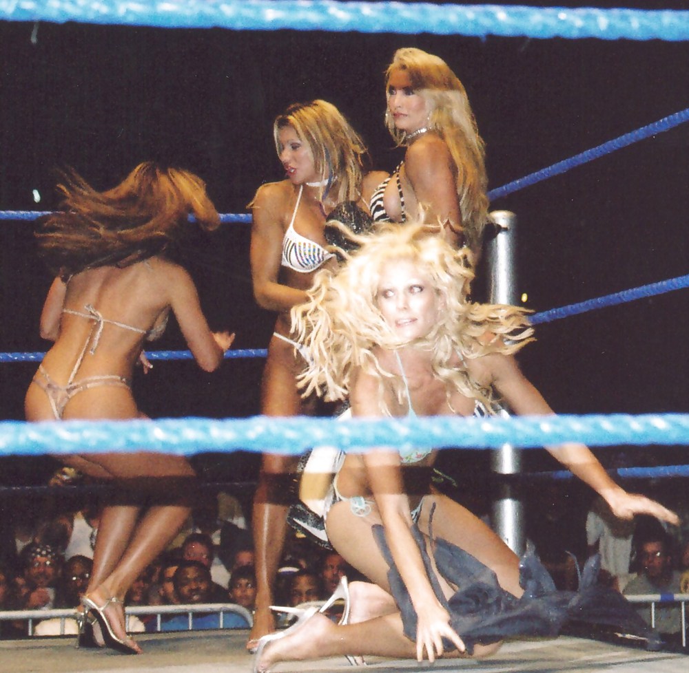 Torrie Wilson - WWE Diva mega collection  #10636692