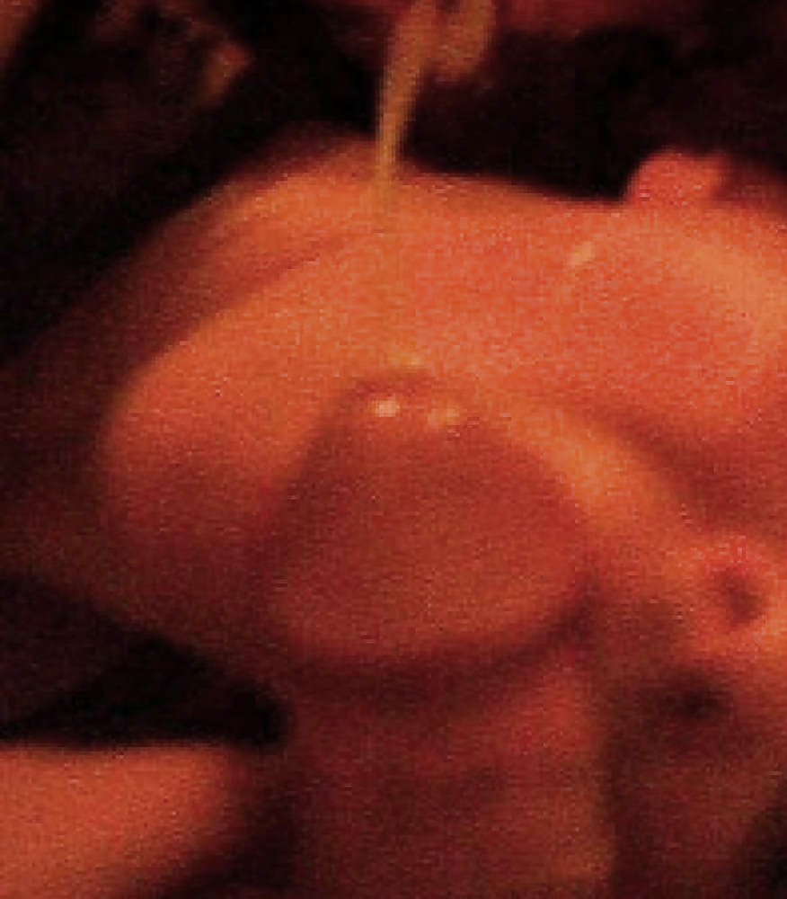 Various ex-girlfriends and playmates Volume 3 #1431977