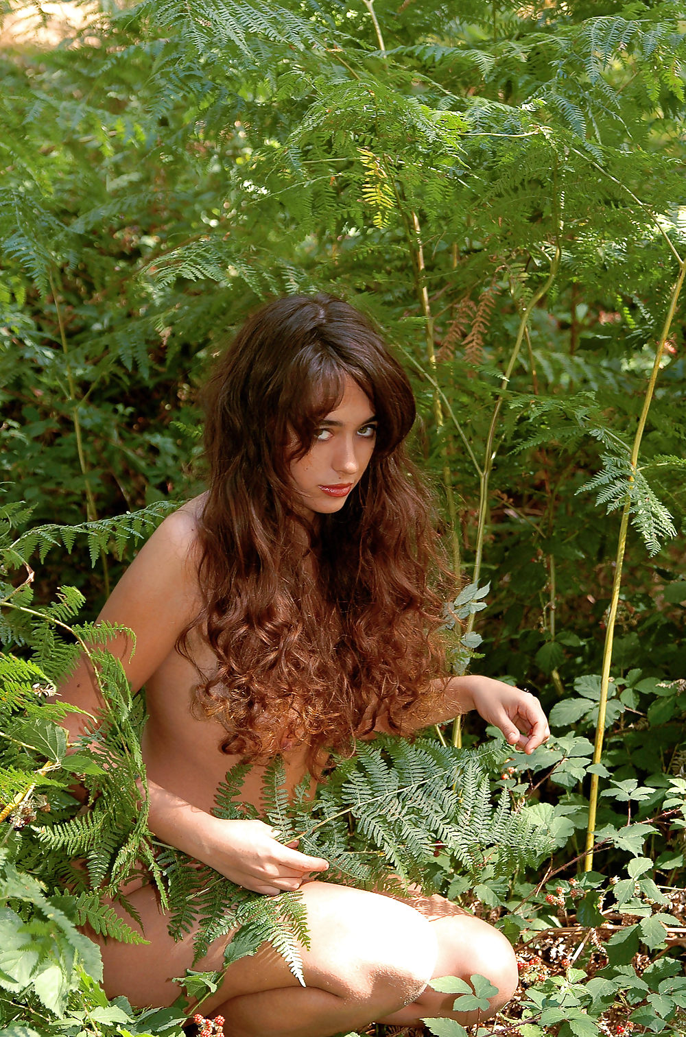 Creature des bois #4198701