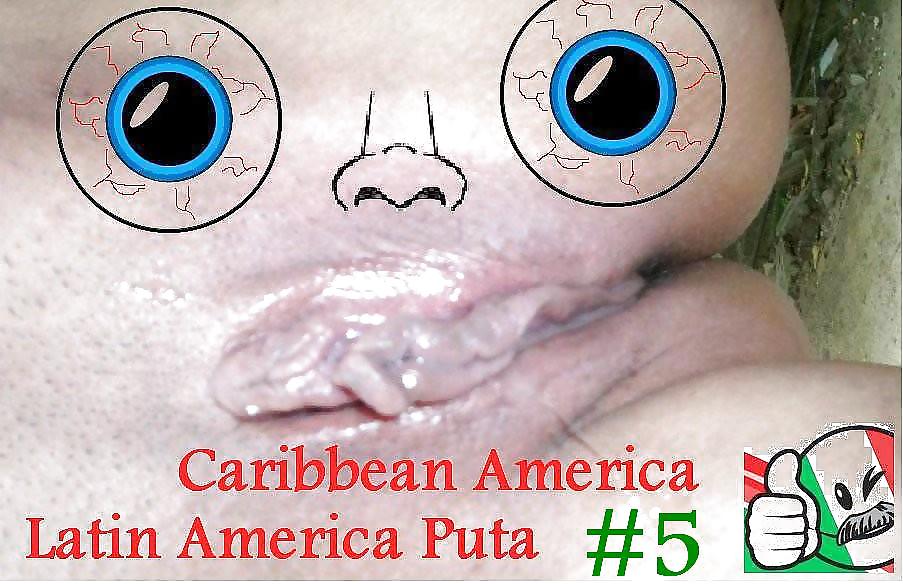 P de c a -o- l a # 5 
 #5969769