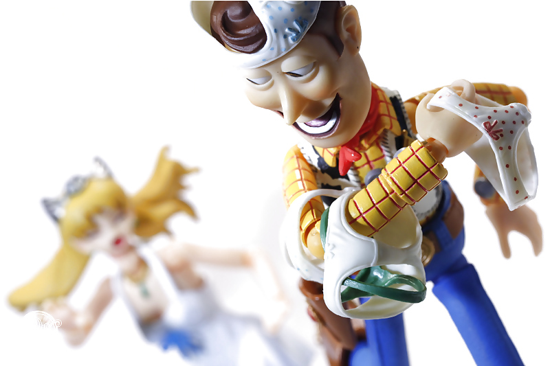 Toy Story Woody  #8057087
