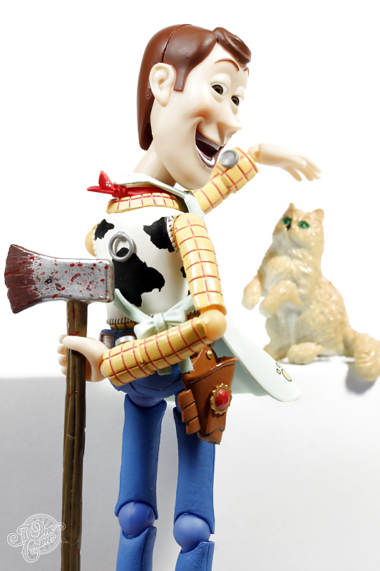 Toy Story Woody  #8057203