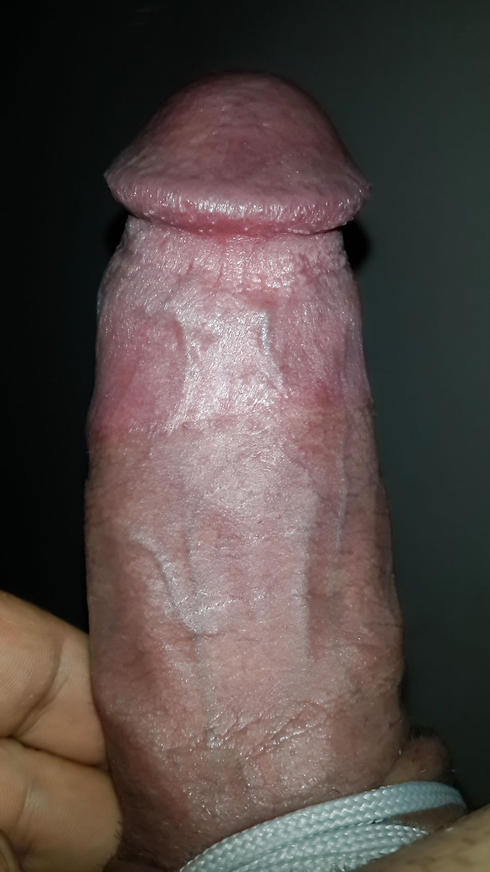 Simsiki semsert keser sapi gibi
 #19923060