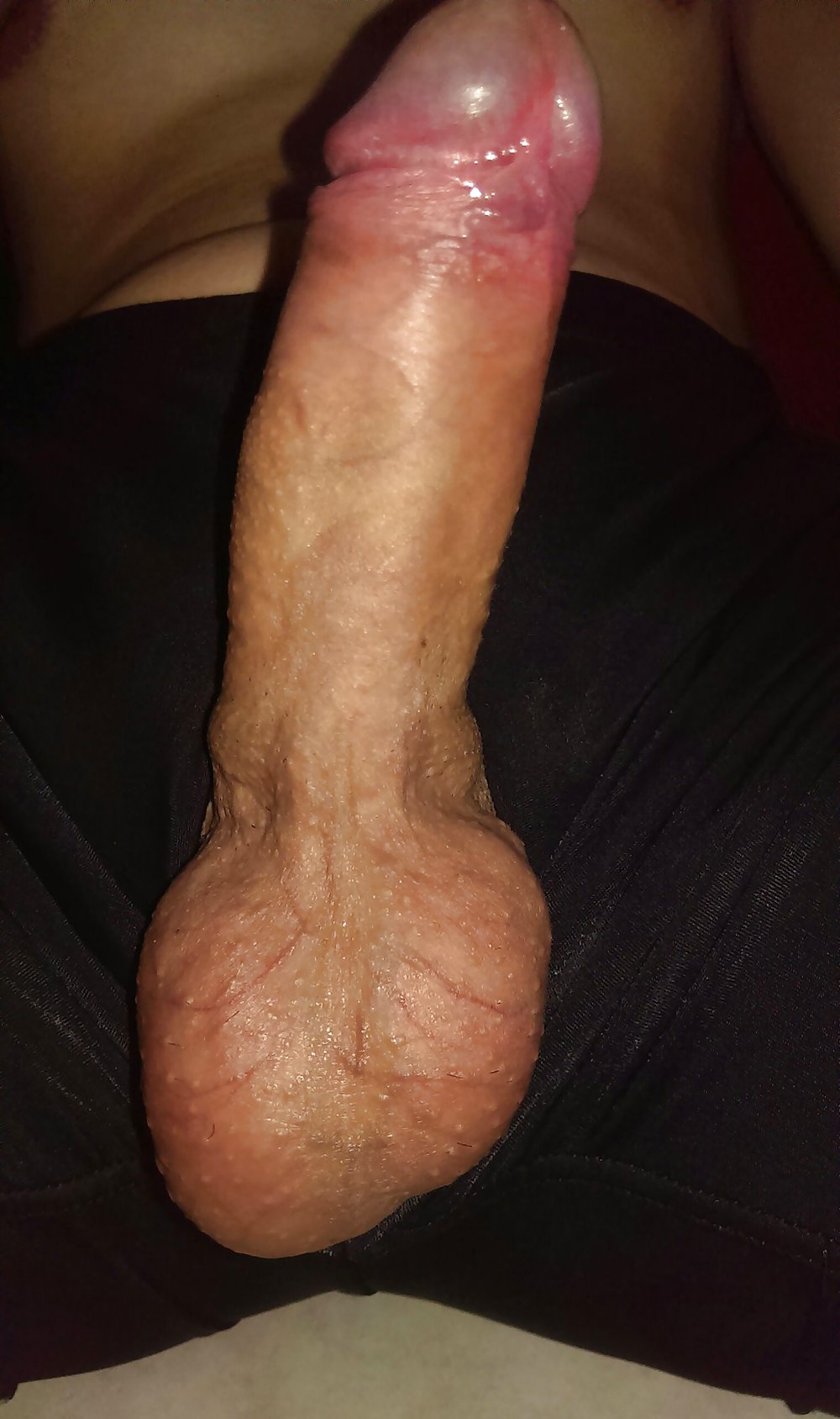 Getting Hard #20916679