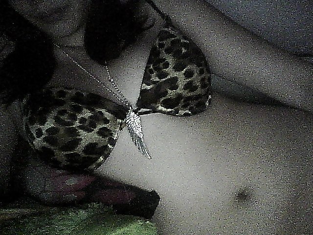 JUST ME, MYSELF, AND I