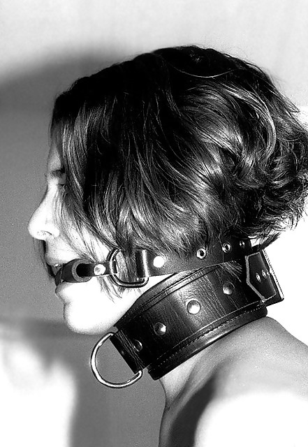 Collared 8! #9729724