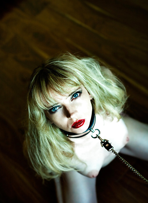Collared 8! #9729747