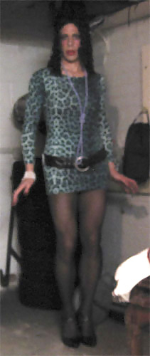 Leopard Print Dress #9561037