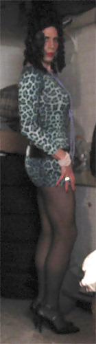 Leopard Print Dress #9561052