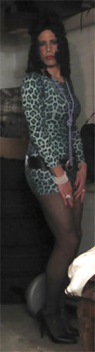 Leopard Print Dress #9561082