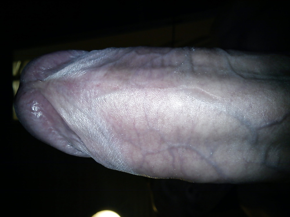 Cock #3370406