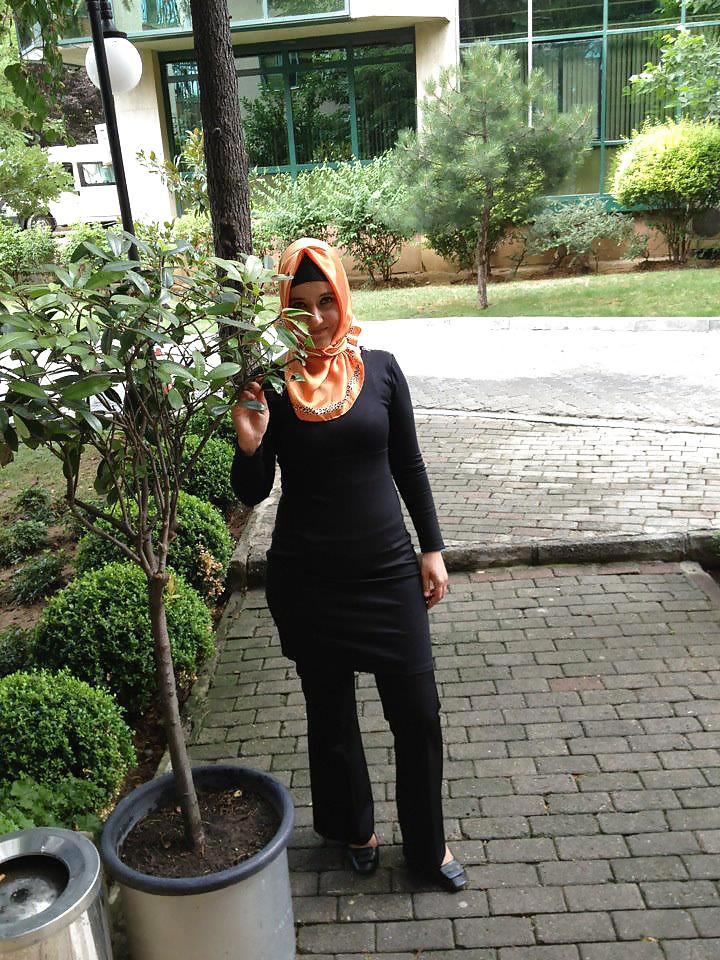 Turbanli kasar
 #19572150