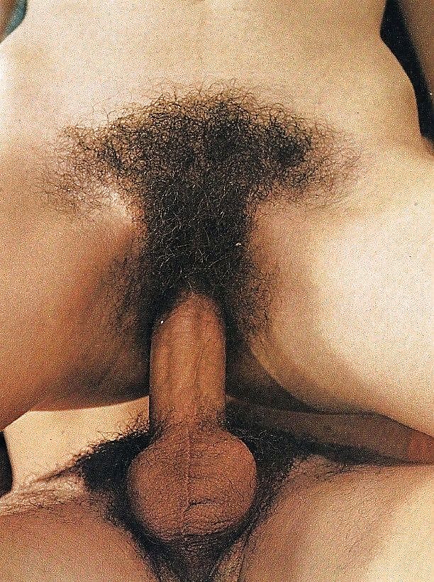 Sexo peludo
 #13894057