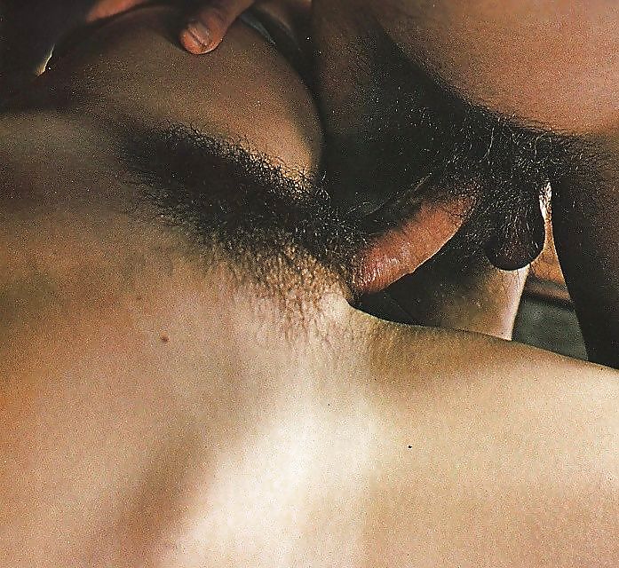 Sexo peludo
 #13894084