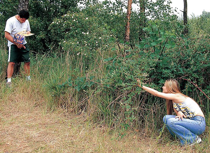 Teen sorpresa scopata e facciale
 #5617647