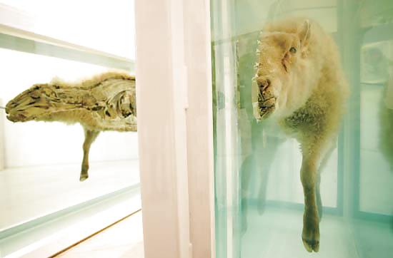 Hirst no comment by jedman #15937904