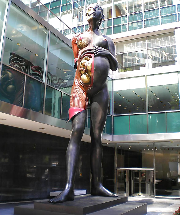Hirst no comment by jedman #15937918