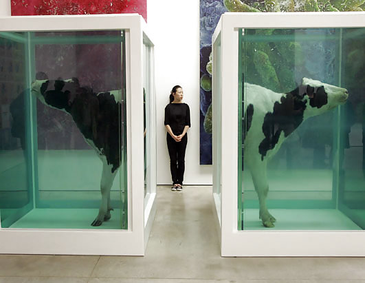 Hirst no comment by jedman #15937934