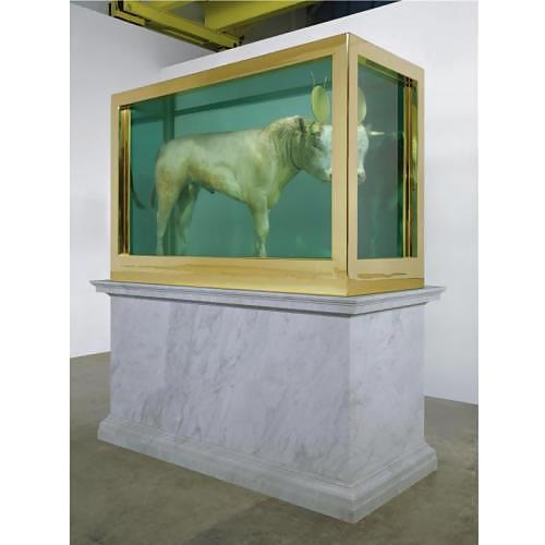 Hirst no comment by jedman #15937978