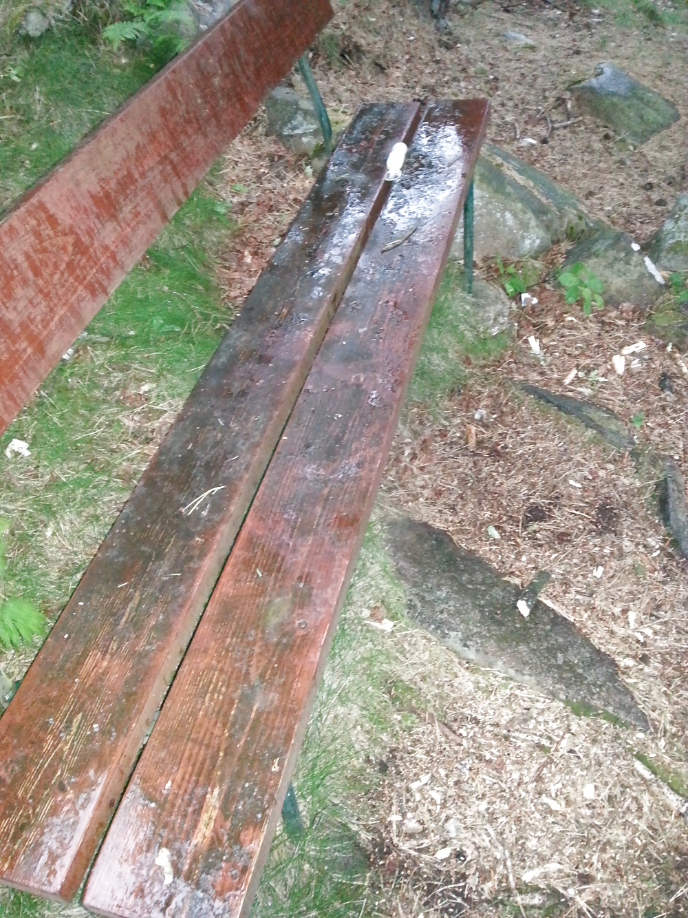 My Cum Of 13 Loads In A Condom On A Bench In A Park! #19075084