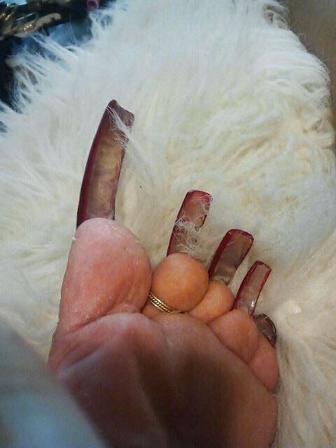 All toes and long toenails  #6854490