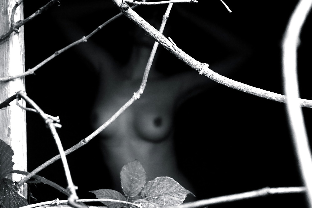 Pour elle 13
 #6118903