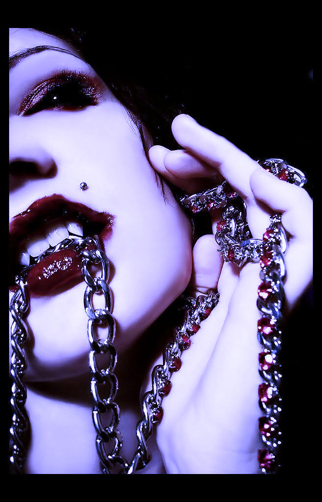 Portfolios #3664638