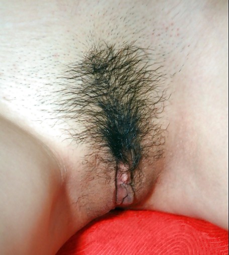 The Beauty of Asian Hairy #14667891