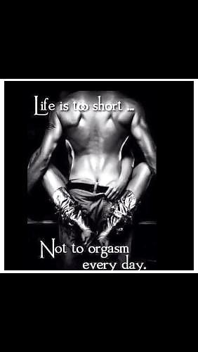 So Es Wird Gesagt, #19300527