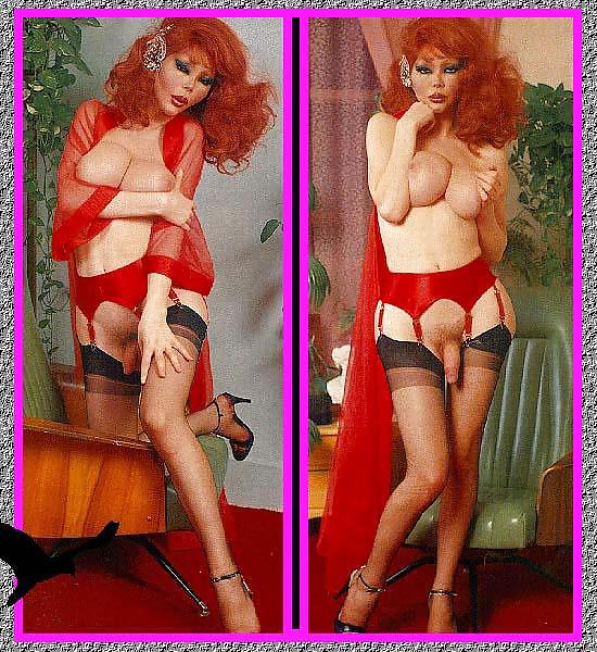 Vintage Transvestiten 1 #10113094