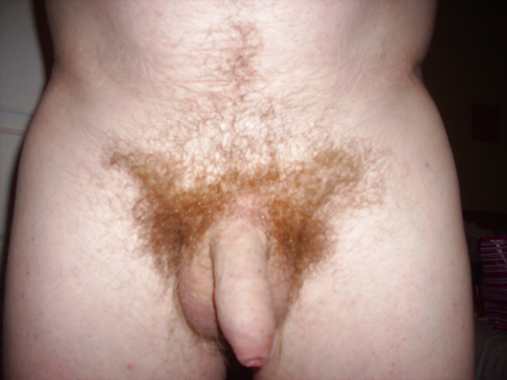 Assorted Pictures #3790061