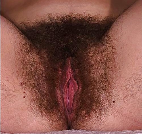 Lovely hairy pussies #2784180
