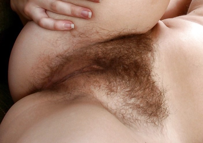 Lovely hairy pussies #2784281