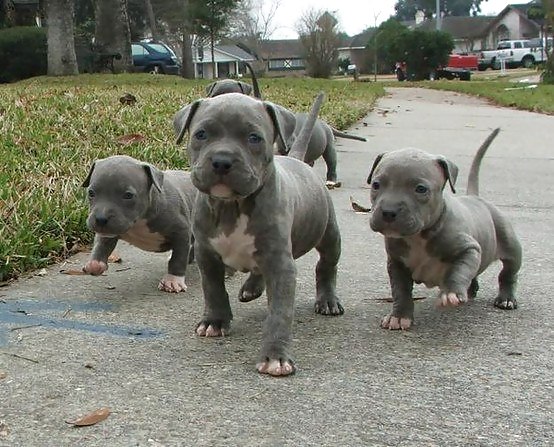 Me & them #15625930