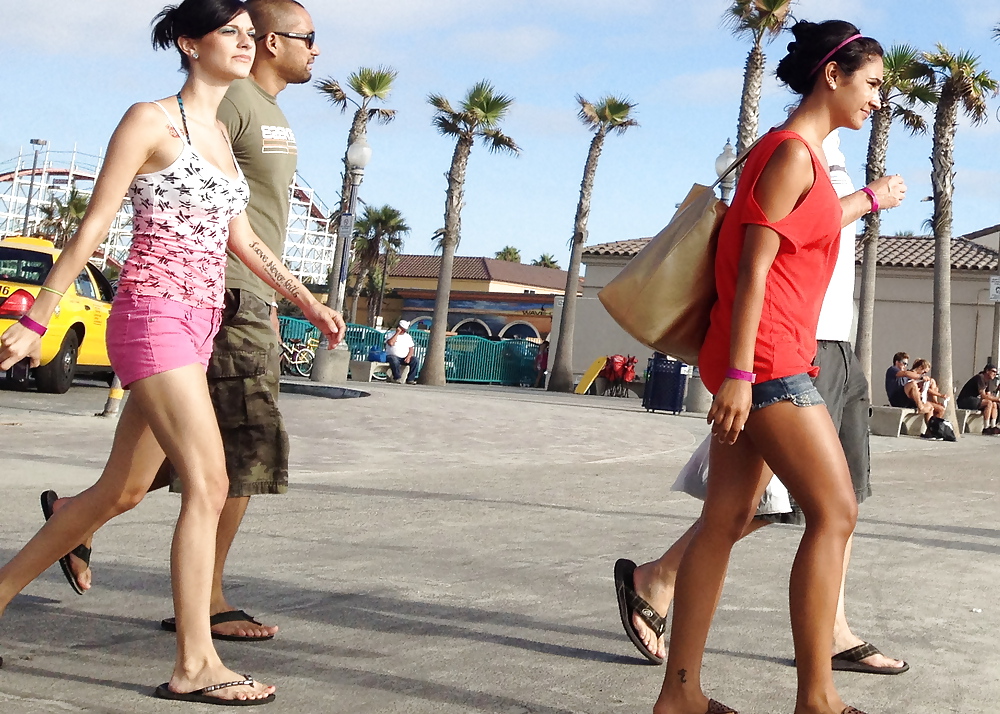 Beach lurker 2.1 #12511509