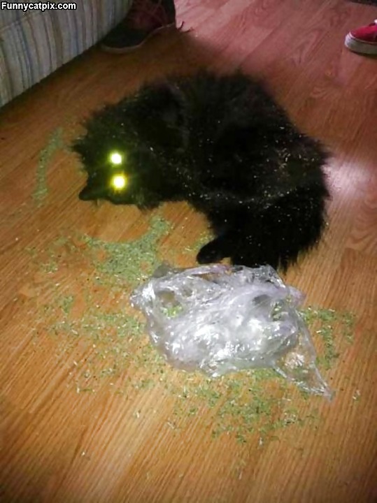 Stuff I like #16830702