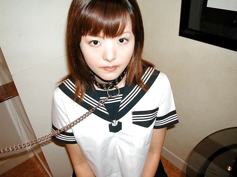 Dressed pets 3
 #17445208