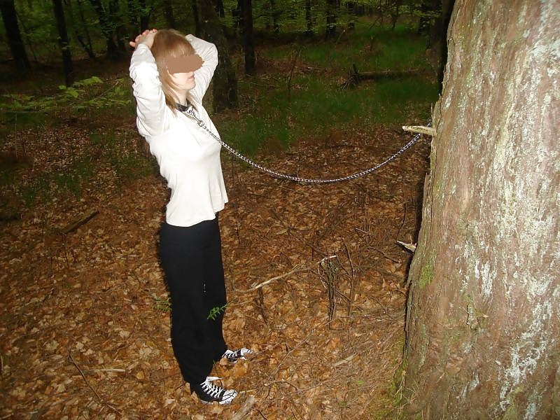 Dressed pets 3
 #17445292