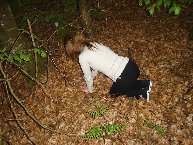 Dressed pets 3
 #17445297