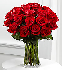 Jaan #4500668