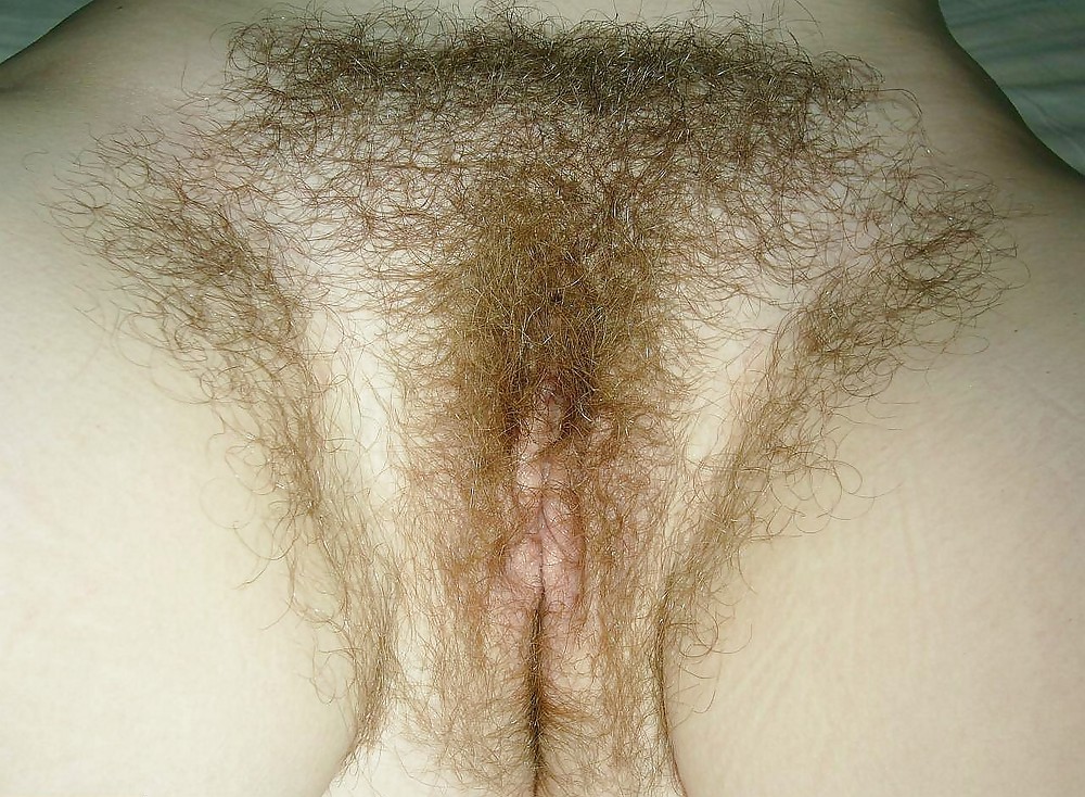 Pubic hair #11014445