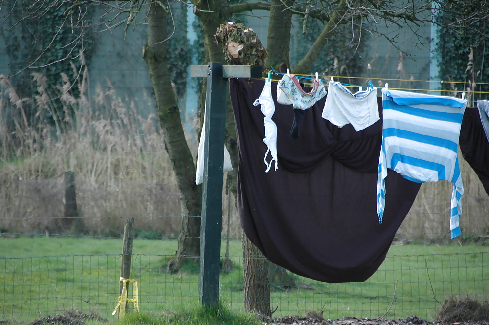 Bras on the clotheslines #8980365