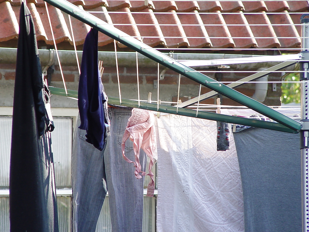 Bras on the clotheslines #8980379
