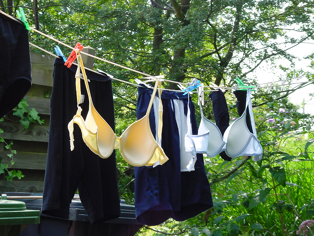 Bras on the clotheslines #8980399